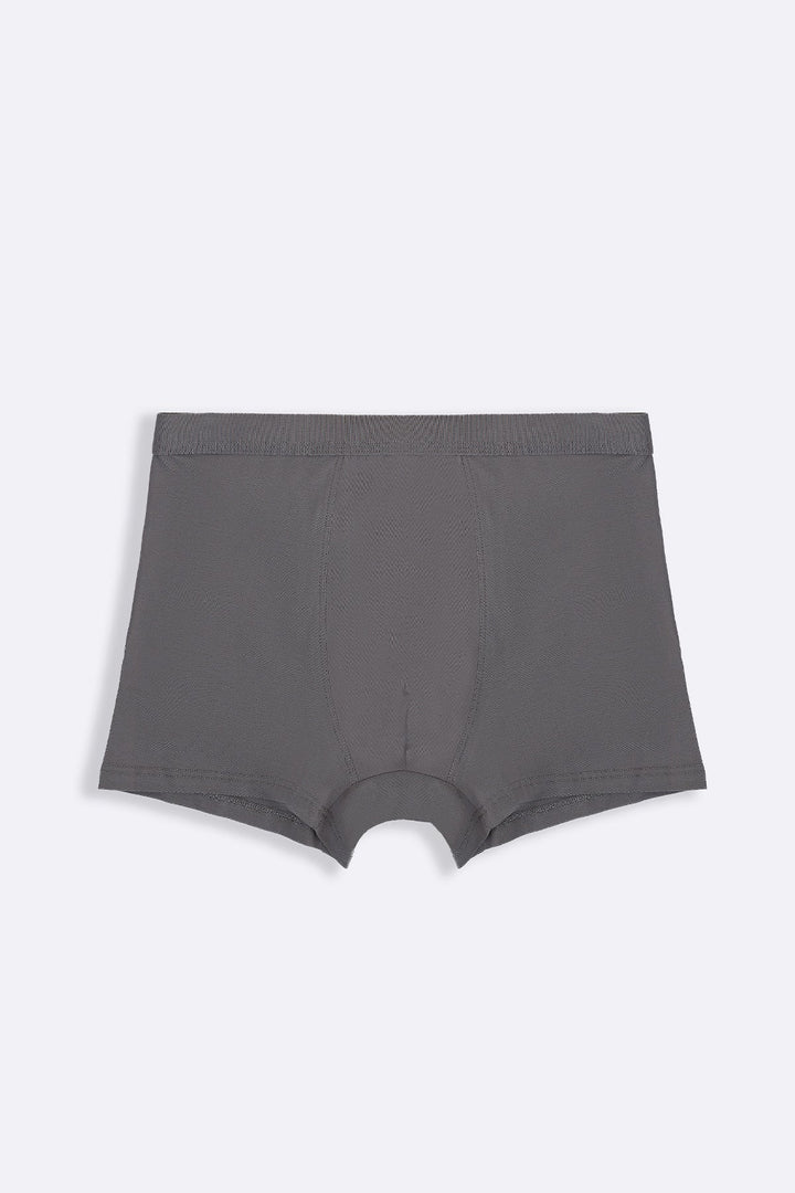 GREY SEAMLESS BOXERS