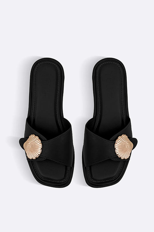 BLACK-SEASHELL-SLIDES