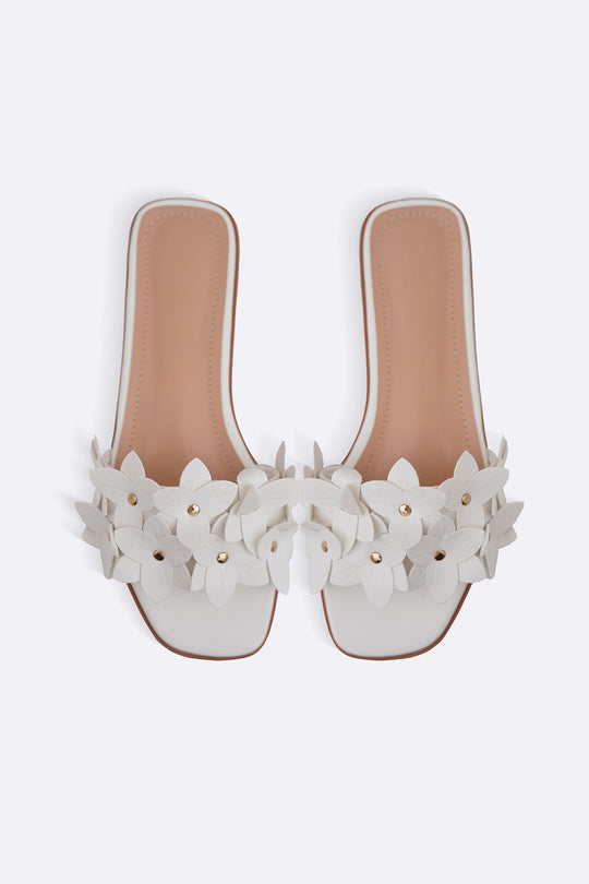 WHITE EVERYDAY DAISY SLIDES