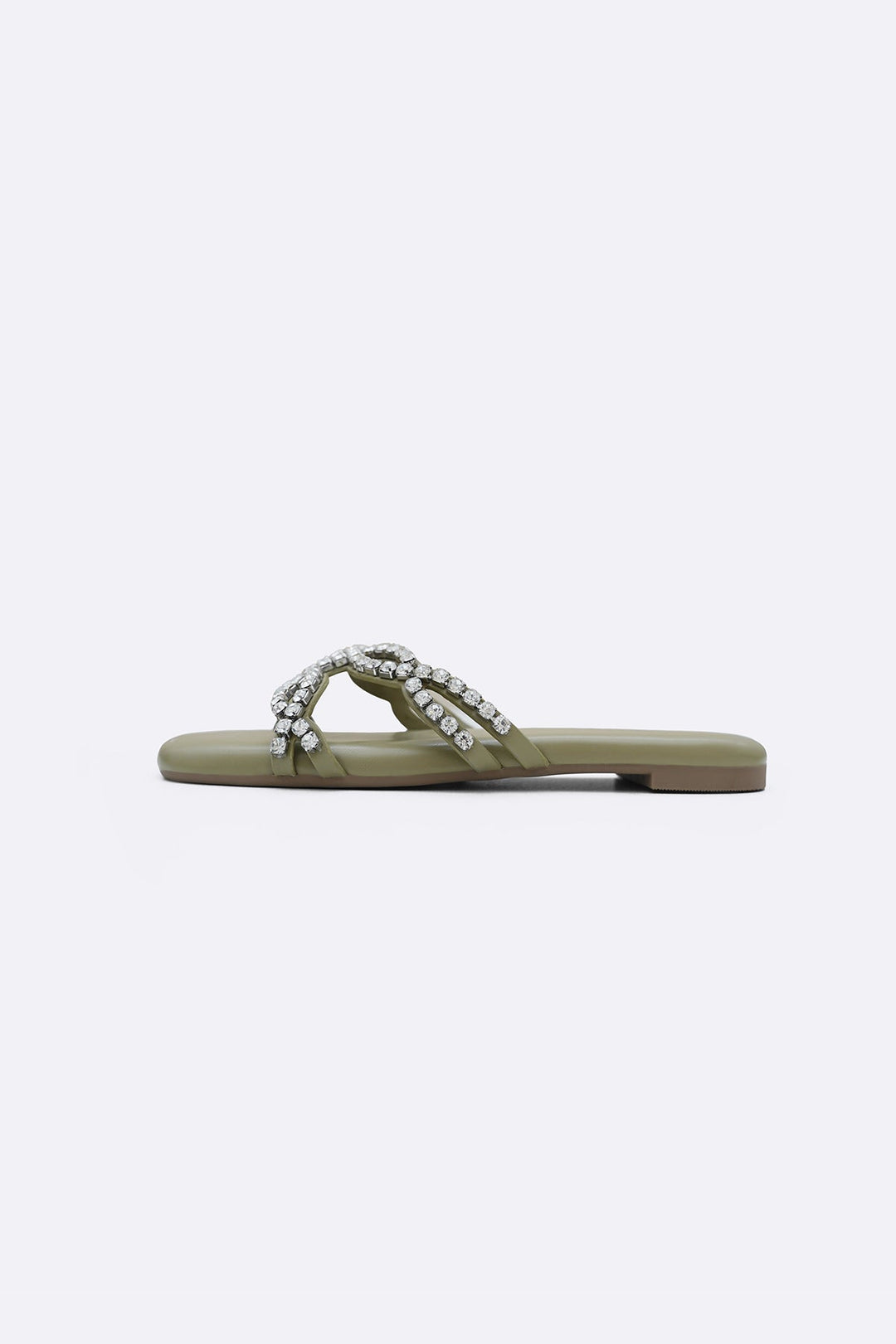 OLIVE CLOVER PARTY SLIDES