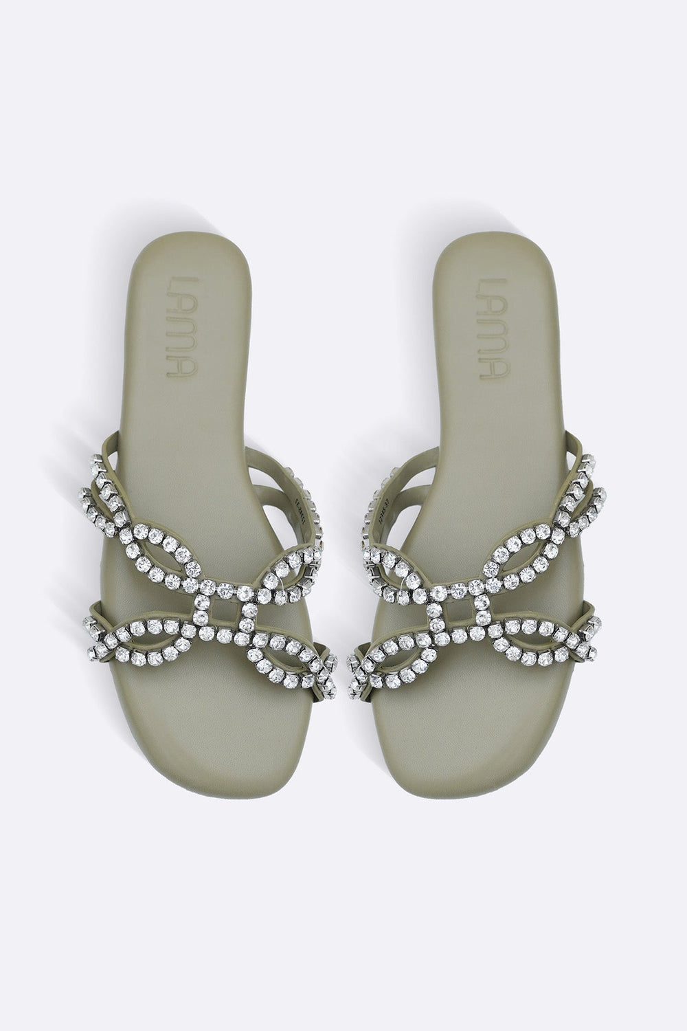 OLIVE CLOVER PARTY SLIDES